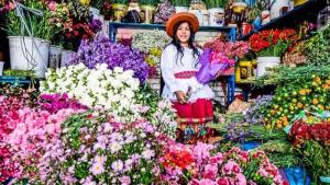 Perú cuenta con más de 4 mil hectáreas de flores y más de 7 mil productores