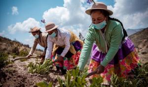 Perú cuenta con más de 922 mil mujeres productoras agrarias