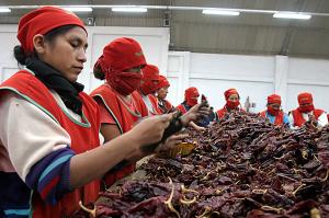 Perú despachó 3.429 toneladas de páprika en septiembre de 2023