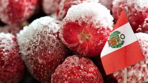 Perú exportó 1.274 toneladas de fresas por US$ 2.37 millones en marzo de 2025, mostrando  crecimiento en volumen y valor