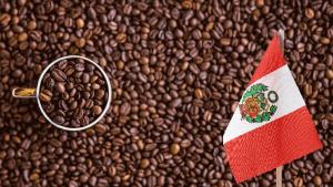 Perú exportó 9.007 toneladas de café por US$ 32 millones en mayo del 2024
