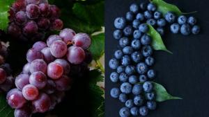 “Perú llegará a concentrar entre el 70 al 80 por ciento del mercado global de arándanos y uvas”