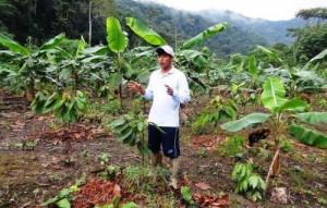 Perú promoverá en el exterior café y cacao de zonas excocaleras