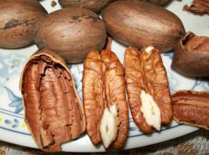 PERÚ: PROYECTAN “BOOM” DE LOS PECANOS  EN 2015 
