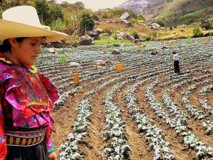 PERÚ Y CHINA REALIZARÁN INVESTIGACIONES CONJUNTAS EN MEJORAMIENTO DE CULTIVOS 