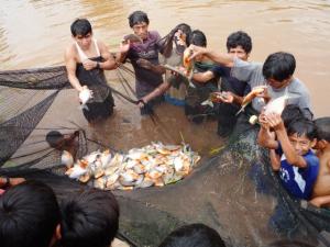 PESCA NO TRADICIONAL CRECERÁ DEBIDO  ACUICULTURA