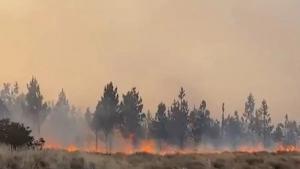 Piden que Fuerza Aérea se sume para sofocar graves incendios forestales en Lambayeque y Cajamarca