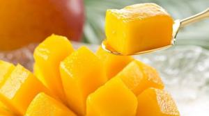 Polonia concentró el sesenta por ciento de los despachos peruanos de mango en conserva