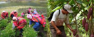 Potenciar la Agricultura de Sierra y Selva