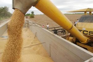 PRECIO PROMEDIO DE LA SOYA CRECIÓ 4,9%