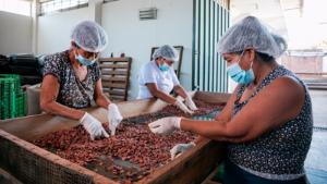 Procompite supera los S/435 millones y proyecta mayor crecimiento en 2026