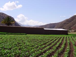 PRODUCCIÓN AGROPECUARIA AUMENTÓ 5,83% EN AGOSTO