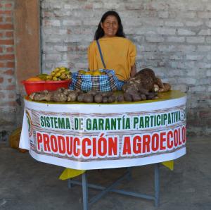 Productores orgánicos certificados con SGP pasarían de 30 mil a más de medio millón en tres años