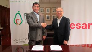 ProHass y Esan firman convenio para potenciar visión empresarial de productores de palta Hass