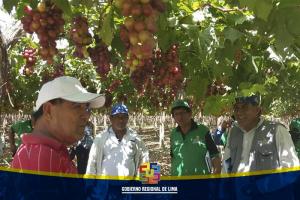 PROMUEVEN PASANTÍA PARA AGRICULTORES DEL VALLE MEDIO Y ALTO DE SUPE