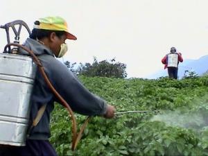 PROMULGAN LEY N° 30190 QUE FOMENTA LA COMPETITIVIDAD DE LA PRODUCCIÓN AGRARIA NACIONAL