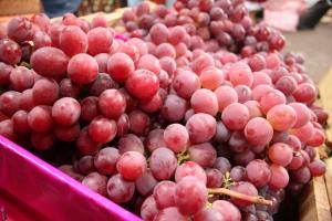 Provid: Exportaciones de uva de mesa crecerían entre 3% y 5% al cierre de la campaña 2019/2020