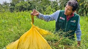 Proyecto Tahuamanu permitirá recuperar 585 ha de áreas degradadas