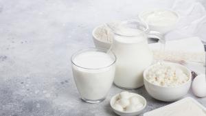 Queso fresco es el líder en su segmento con el 70% de las preferencias en el consumo local