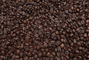 REALIZAN LANZAMIENTO DEL XI CONCURSO NACIONAL DE CAFÉS ESPECIALES