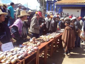 REALIZAN XII EXPOSICIÓN AGROPECUARIA Y ARTESANAL VIRGEN DE LA PUERTA