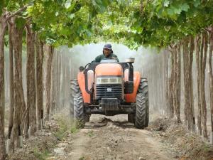 RECLAMAN APROBACIÓN DE LEY SOBRE FOMENTO ECOLÓGICO