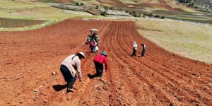 Régimen agrario: resultados y consecuencias a más de un año de su derogación