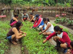 REGIÓN LORETO SE DECLARA LIBRE DE TRANSGÉNICOS