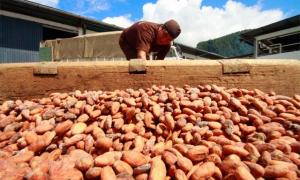 RUEDA DE NEGOCIOS DEL VI SALÓN DE CACAO Y CHOCOLATE GENERÓ US$ 18 MILLONES