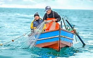 Sanipes destaca labor de miles de pescadores artesanales del país