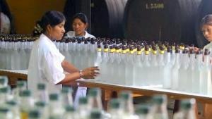 Se comercializaron 2.187.895 litros de pisco entre enero y mayo del 2024