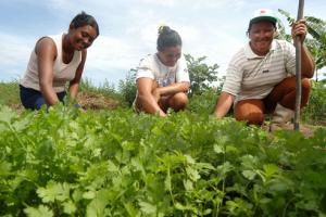 SE PREPARAN PARA EL AÑO INTERNACIONAL DE LA AGRICULTURA FAMILIAR 2014
