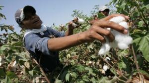 SE VIENE EL II SIMPOSIUM NACIONAL “MANEJO NUTRICIONAL DE CULTIVOS DE EXPORTACIÓN”