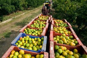 SECTOR AGRARIO CRECERÍA ENTRE 2% Y 2.5% ESTE AÑO