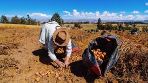 Sector agropecuario creció 4% en el primer bimestre del año