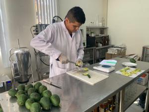 Sedir: Pocos productores realizan análisis de materia seca en sus cultivos de palta