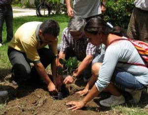 SIEMBRAN 5 MIL ÁRBOLES DE EUCALIPTO EN LA LIBERTAD