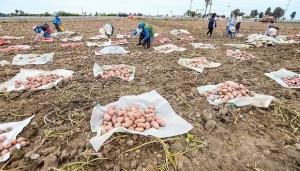 Southern Perú implementaría una represa en que impulsaría agro en Valle del Tambo