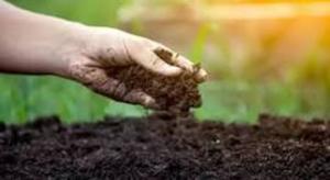 Sugerencias para una Estrategia de Cuidado de los Suelos y Uso Racional de Fertilizantes