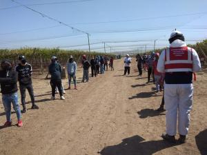 Sunafil exige a agroexportadora formalizar a 140 trabajadores que fueron obligados a esconderse durante intervención