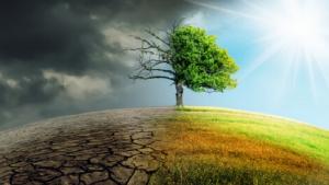 Temperatura en Perú podría aumentar hasta en 3°C para el año 2050 debido al cambio climático
