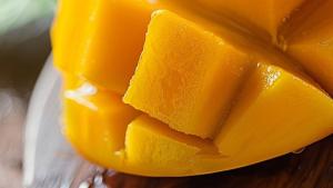 Tendencias sobre la comercialización y distribución de la industria del mango en 2026