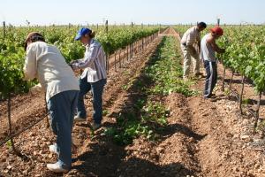 TRABAJADORES AGRARIOS RECLAMAN MAYORES BENEFICIOS