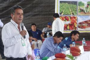 UCAYALI: DEVIDA FINANCIARÁ LA INSTALACIÓN DE 1.200 HECTÁREAS DE CULTIVO DE CACAO