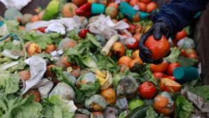 Un tercio de los alimentos producidos en el mundo se pierde o desperdicia cada año