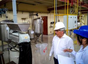 UNI busca optimizar producción del pisco aprovechando desechos de la uva