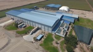 Unifrutti adquiere a la peruana Safco y consolida su posición en el mercado global de uva de mesa