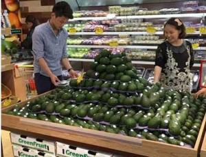 USDA: Perú es el principal proveedor de palta de China, con una participación del 64% en 2021