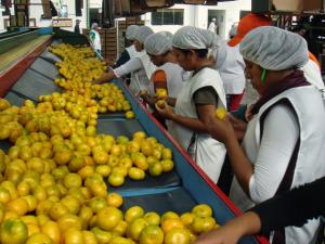 VETO DE ECUADOR AFECTA LA IMAGEN AGROEXPORTADORA DEL PERÚ