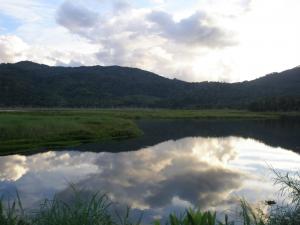 VILLA RICA, EL DISTRITO CON MAYOR ACTIVIDAD AGROFORESTAL